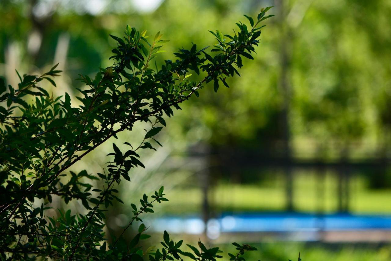 La Argentina Complejo Villa บีญาซิวดัด เด อเมริกา ภายนอก รูปภาพ